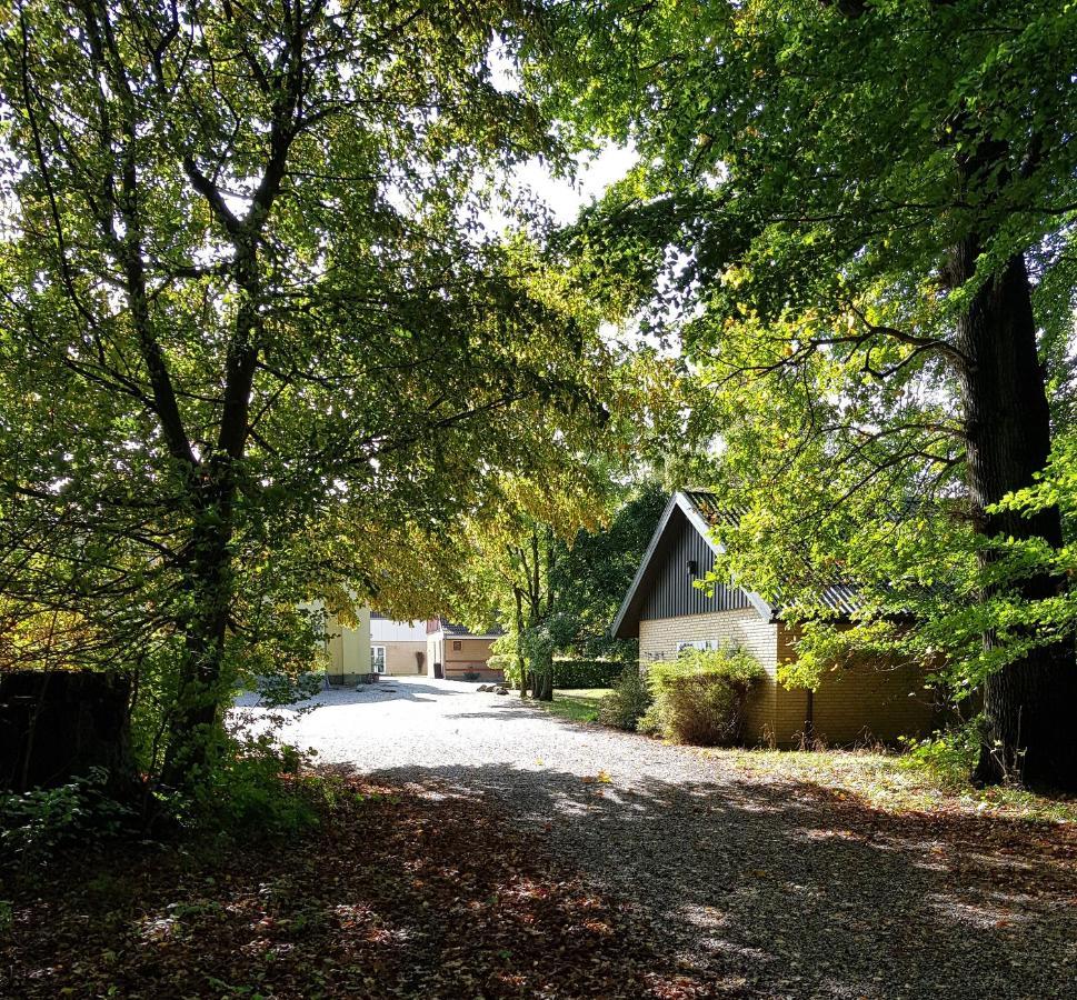 Pederstrup Bed And Breakfast Torrig Екстериор снимка
