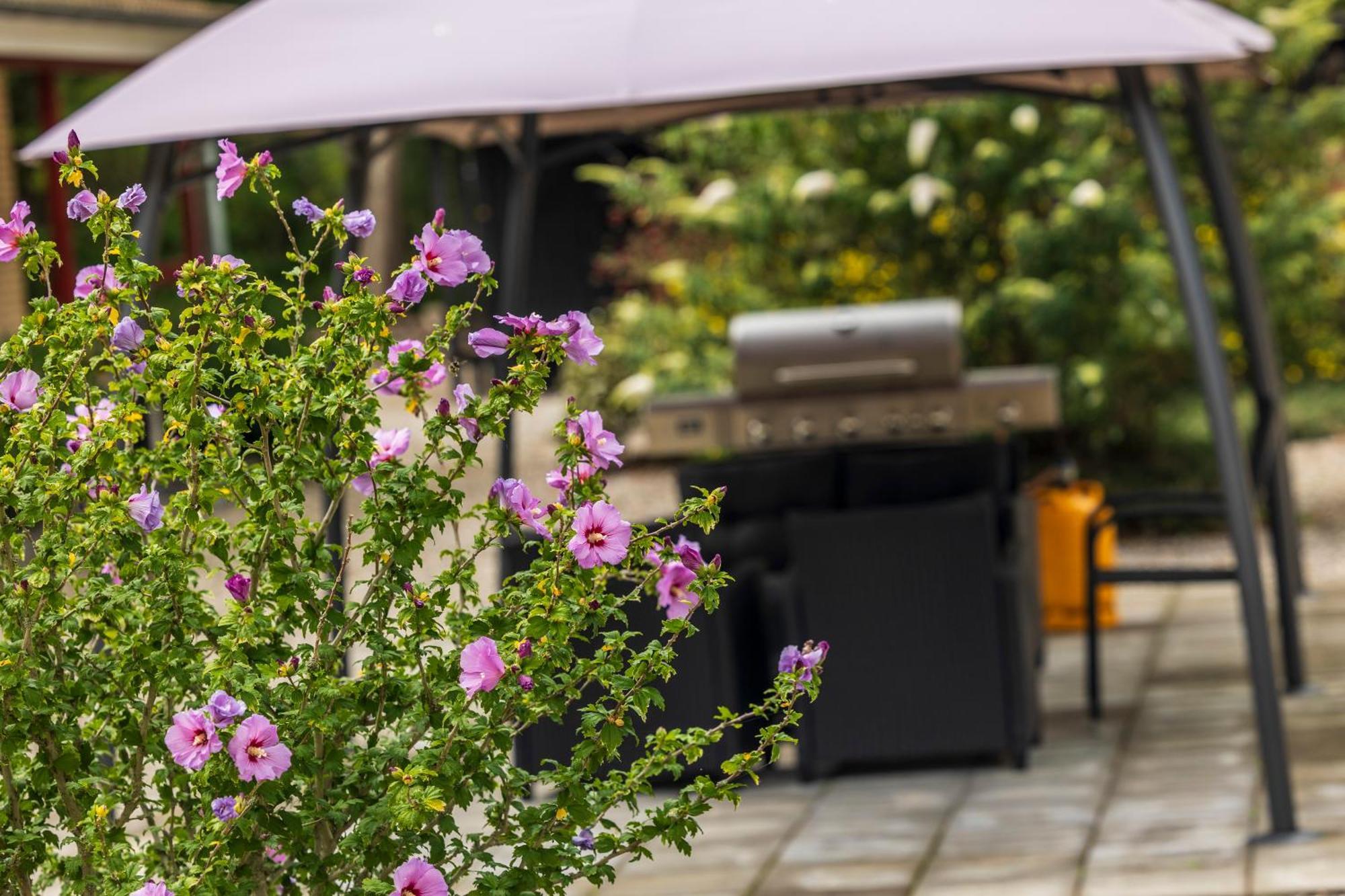 Pederstrup Bed And Breakfast Torrig Екстериор снимка